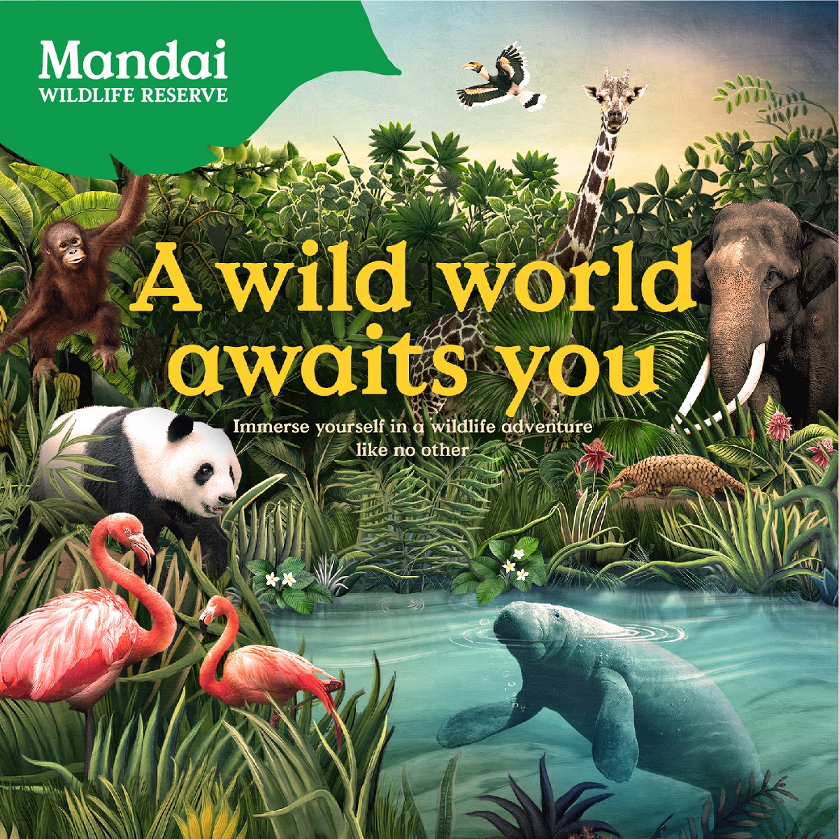 Mandai Wildlife Reserve | NEbO